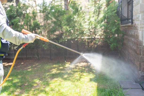 Reliable Olyphant, PA Pest Control Solutions