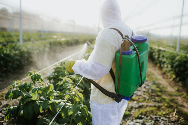 Best Flea Control Services  in Olyphant, PA
